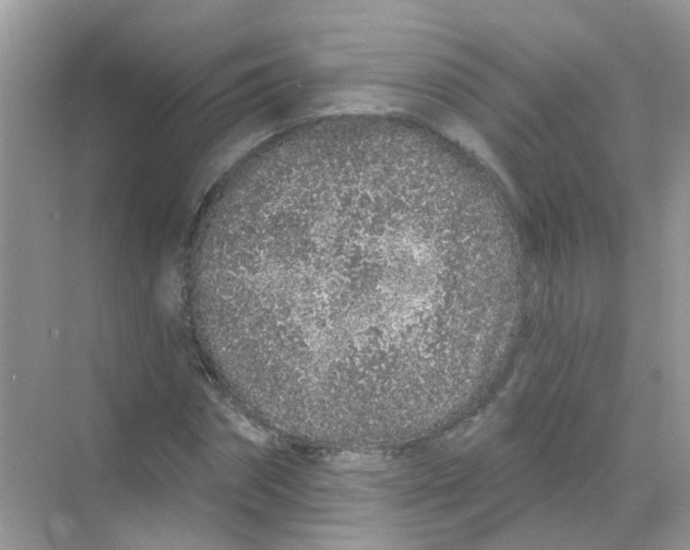 X0000068270874200605121843