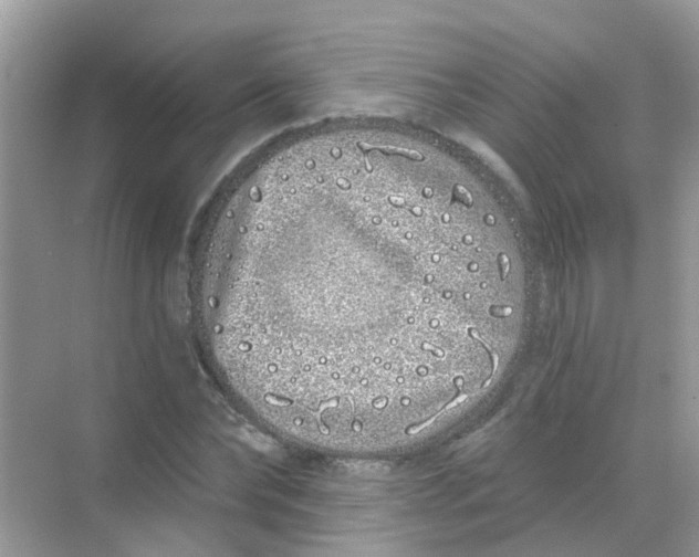 X0000068270878200605121843