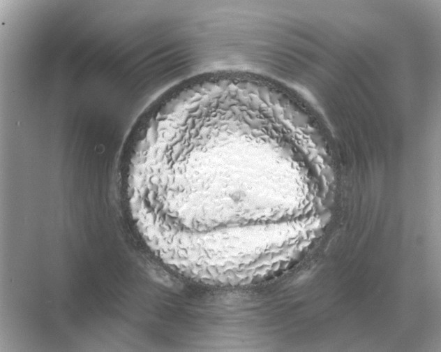 X0000068270879200605121843