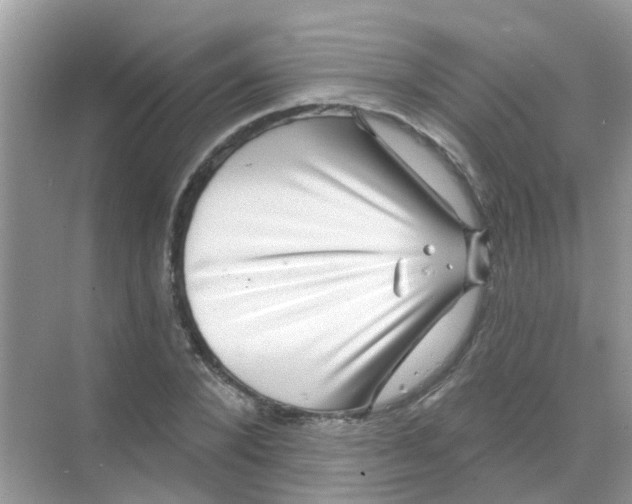 X0000068270880200605121843