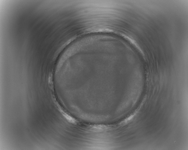 X0000068270881200605121843