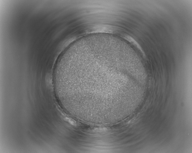 X0000068270882200605121843