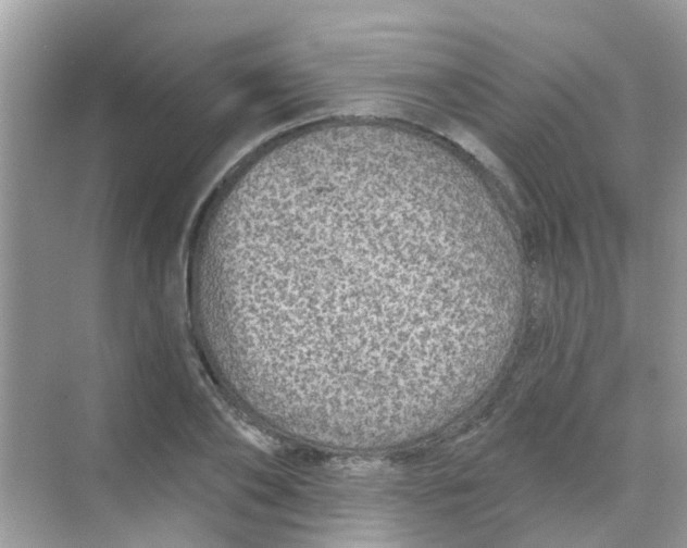 X0000068270886200605121843