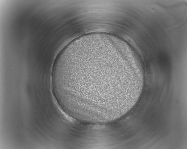 X0000068270890200605121843