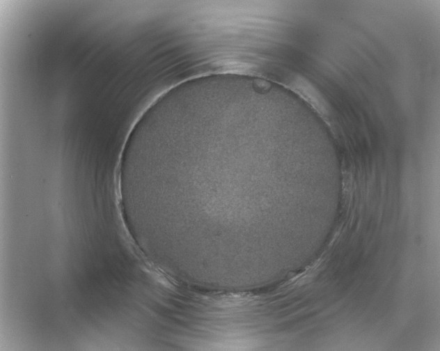 X0000068270891200605121843