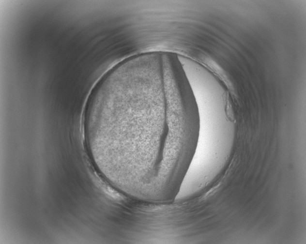 X0000068270892200605121843