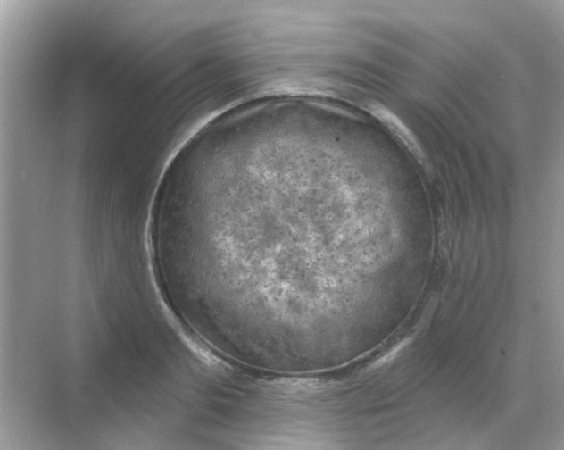 X0000068270893200605121843