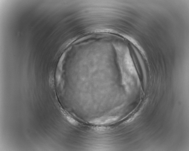 X0000068270897200605121843