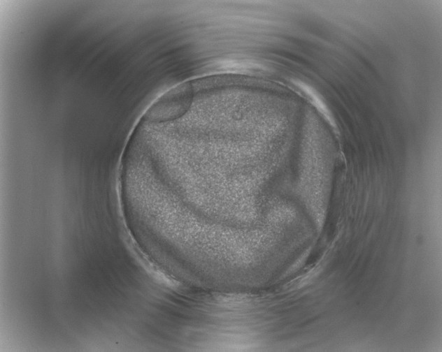 X0000068270899200605121843