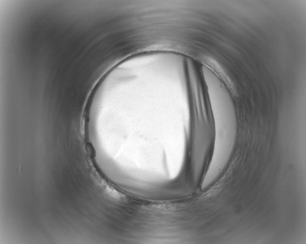 X0000068270900200605121843