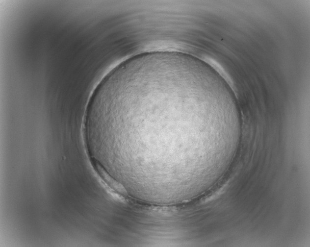 X0000068270901200605121843