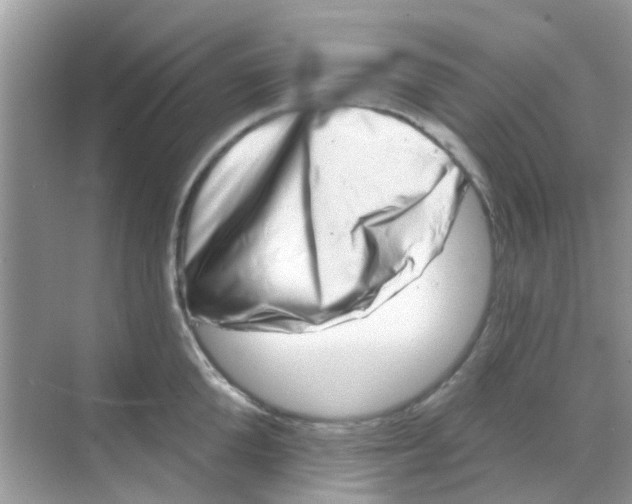 X0000068270904200605121843