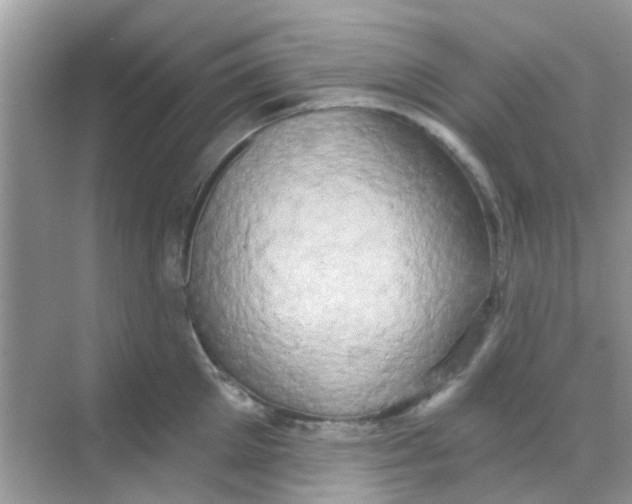 X0000068270905200605121843