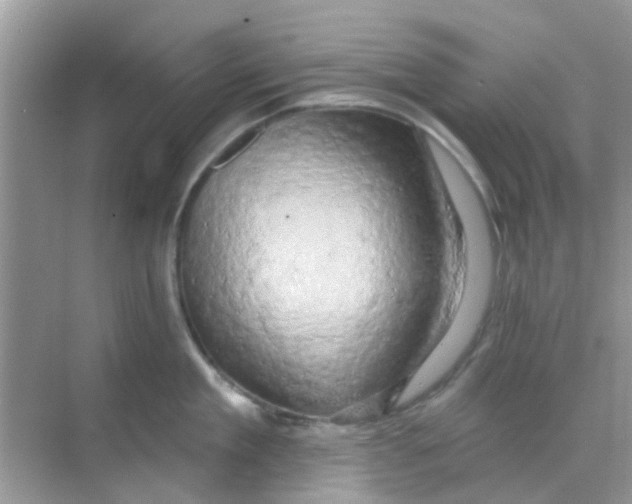 X0000068270909200605121843