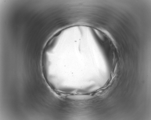 X0000068270910200605121843