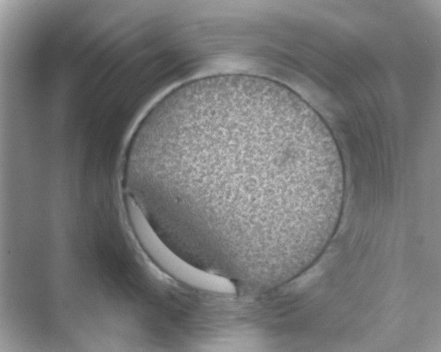 X0000068270912200605121843