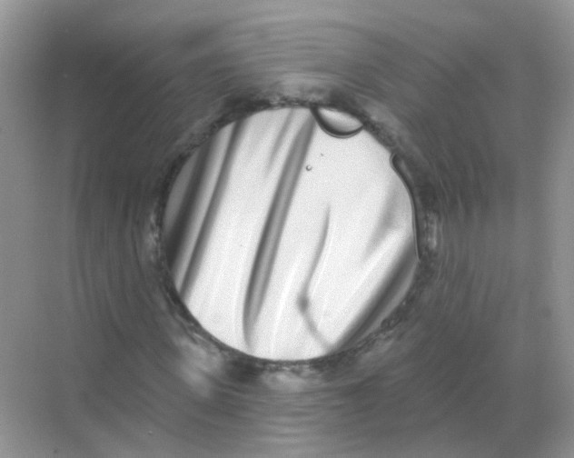 X0000068270915200605121842