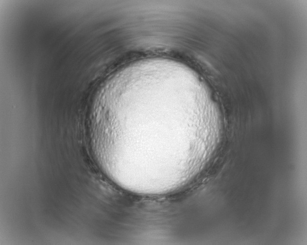 X0000068270917200605121842