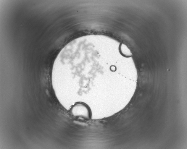 X0000068270918200605121842