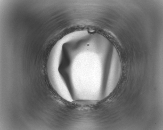 X0000068270919200605121842