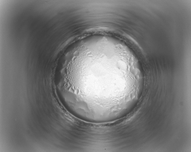 X0000068270921200605121842