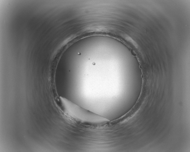 X0000068270922200605121842