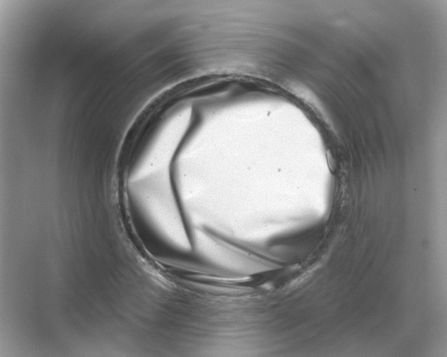 X0000068270924200605121842