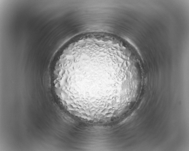 X0000068270925200605121842