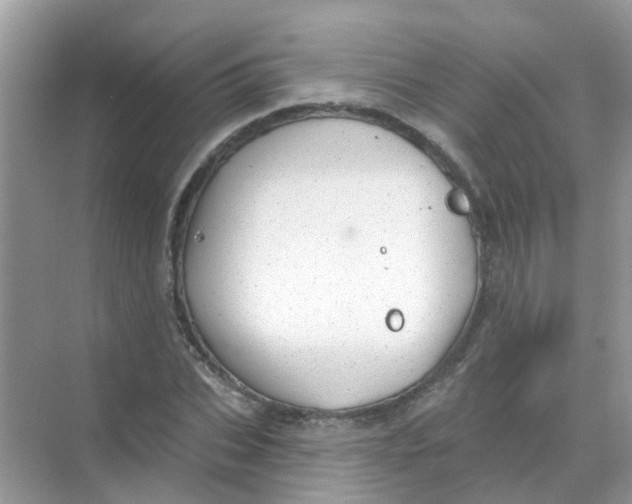 X0000068270927200605121842