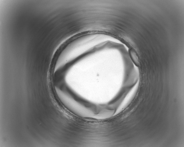 X0000068270928200605121842