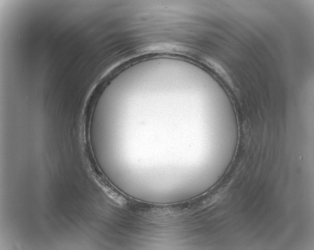 X0000068270931200605121842