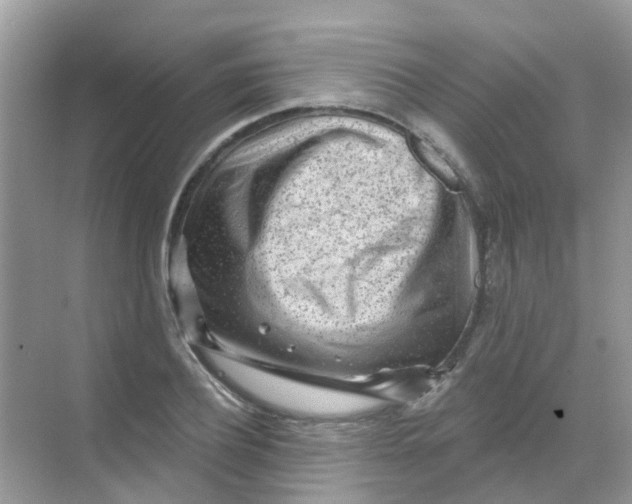 X0000068270932200605121842