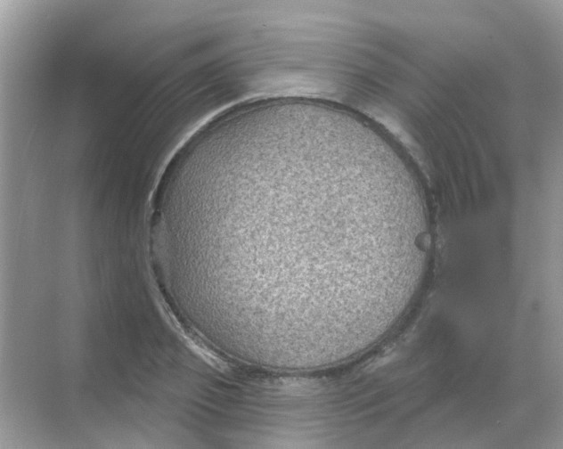 X0000068270933200605121842