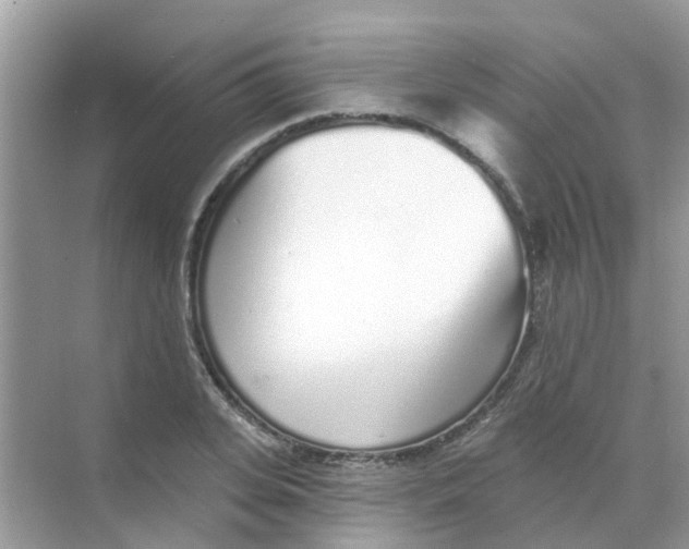 X0000068270935200605121842