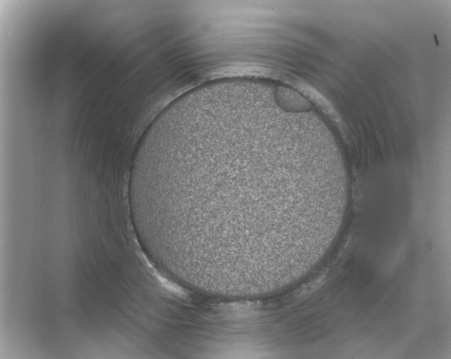 X0000068270937200605121842