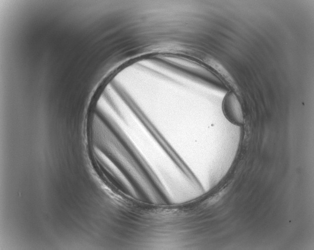 X0000068270939200605121842