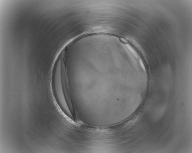 X0000068270941200605121842