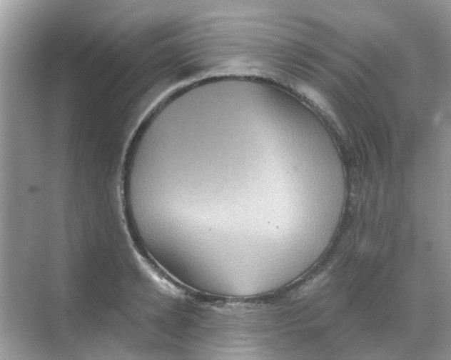 X0000068270942200605121842