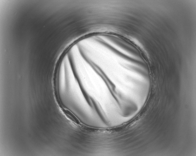 X0000068270943200605121842