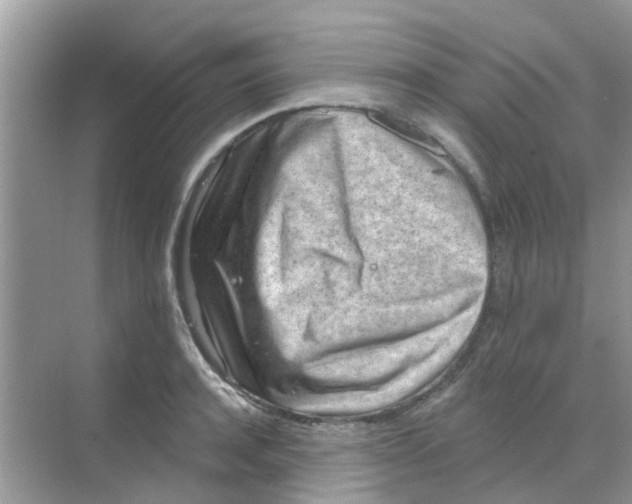 X0000068270944200605121842