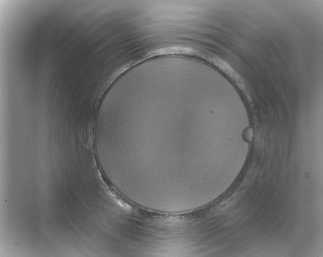 X0000068270945200605121842