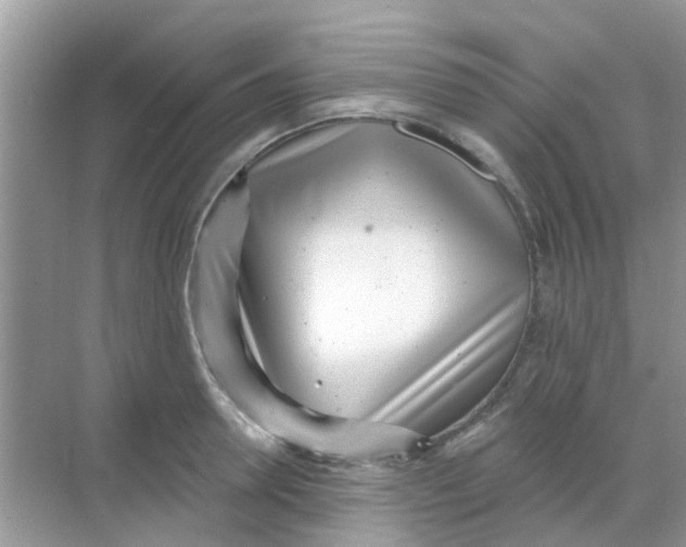 X0000068270946200605121842