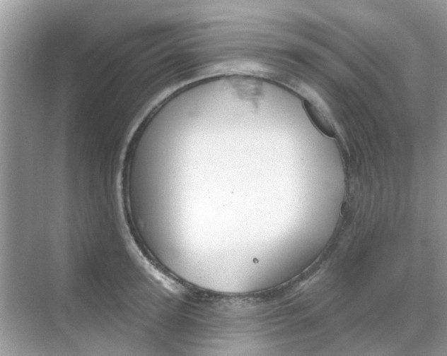 X0000068270947200605121842