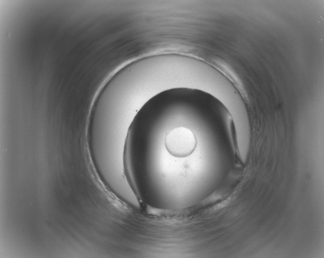 X0000068270948200605121842