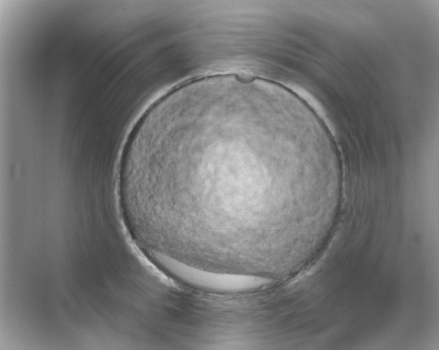 X0000068270949200605121842