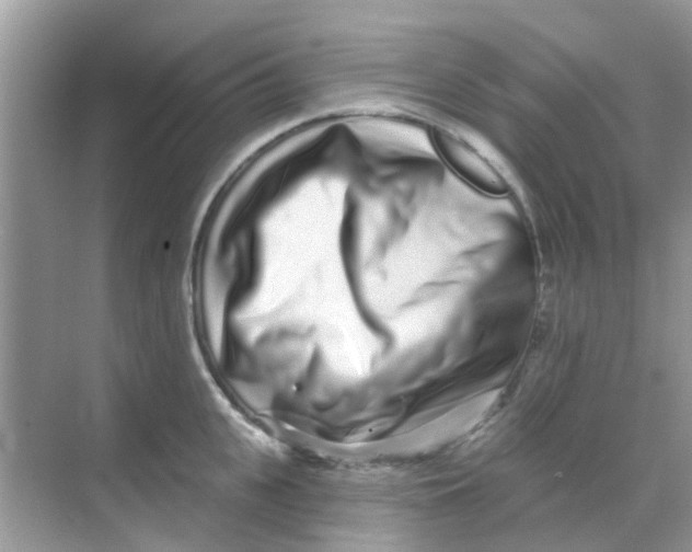 X0000068270951200605121842