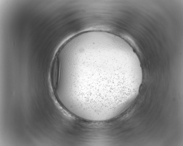 X0000068270952200605121842