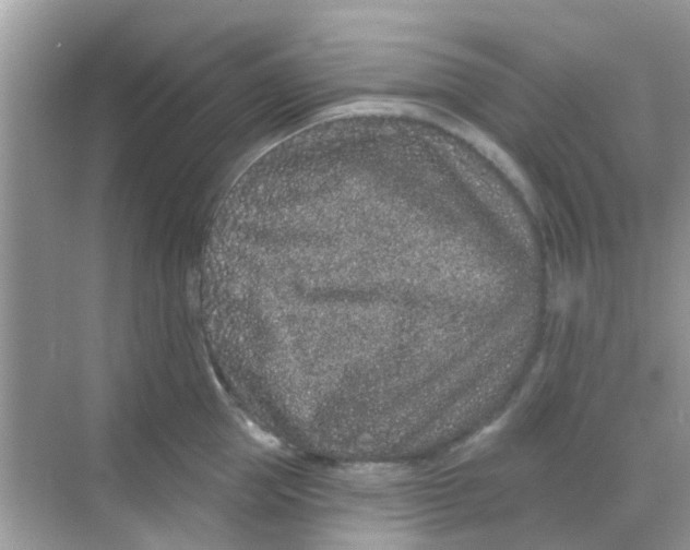 X0000068270953200605121842