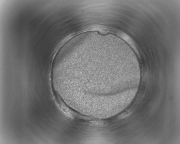 X0000068270954200605121842