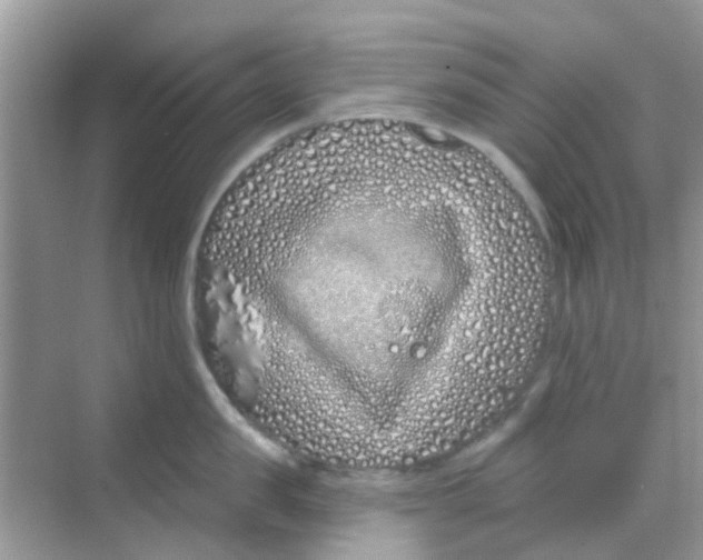 X0000068270957200605121843